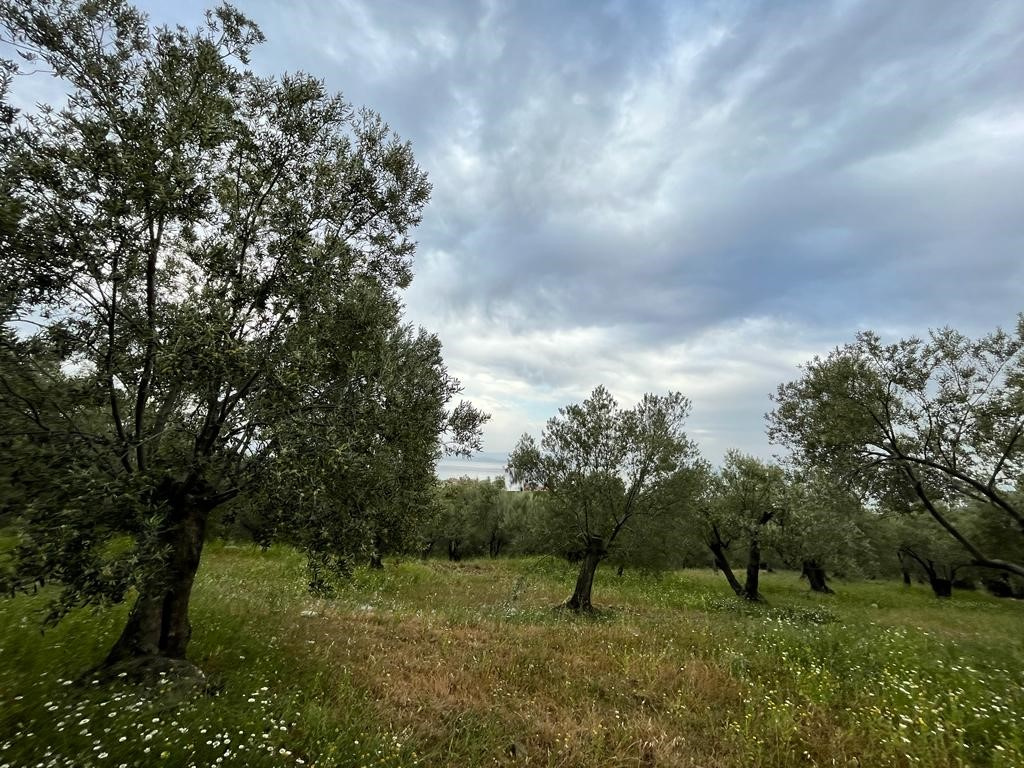 Sık Sorulan Sorular