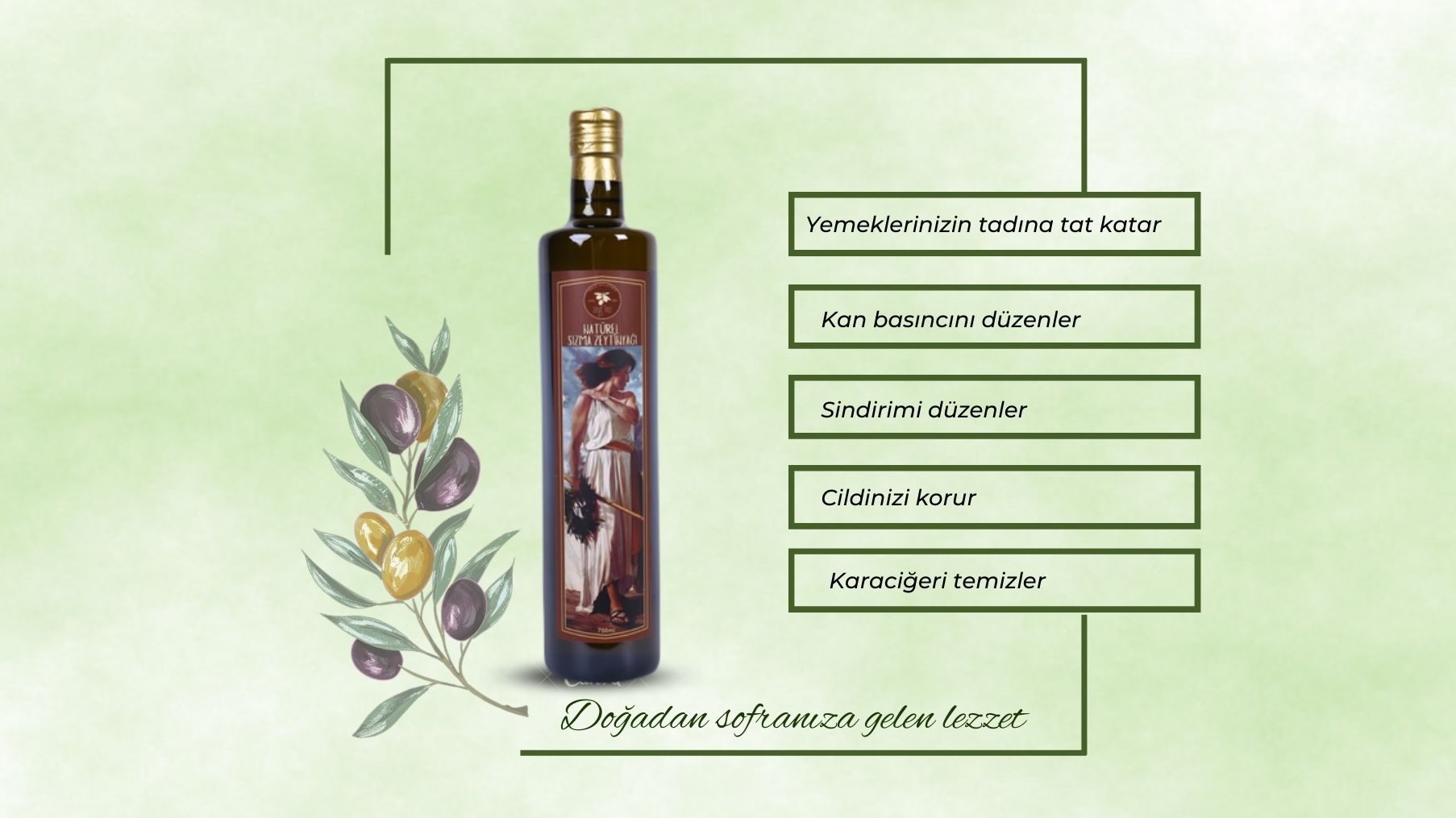 Zeytinyağı Mucizesi