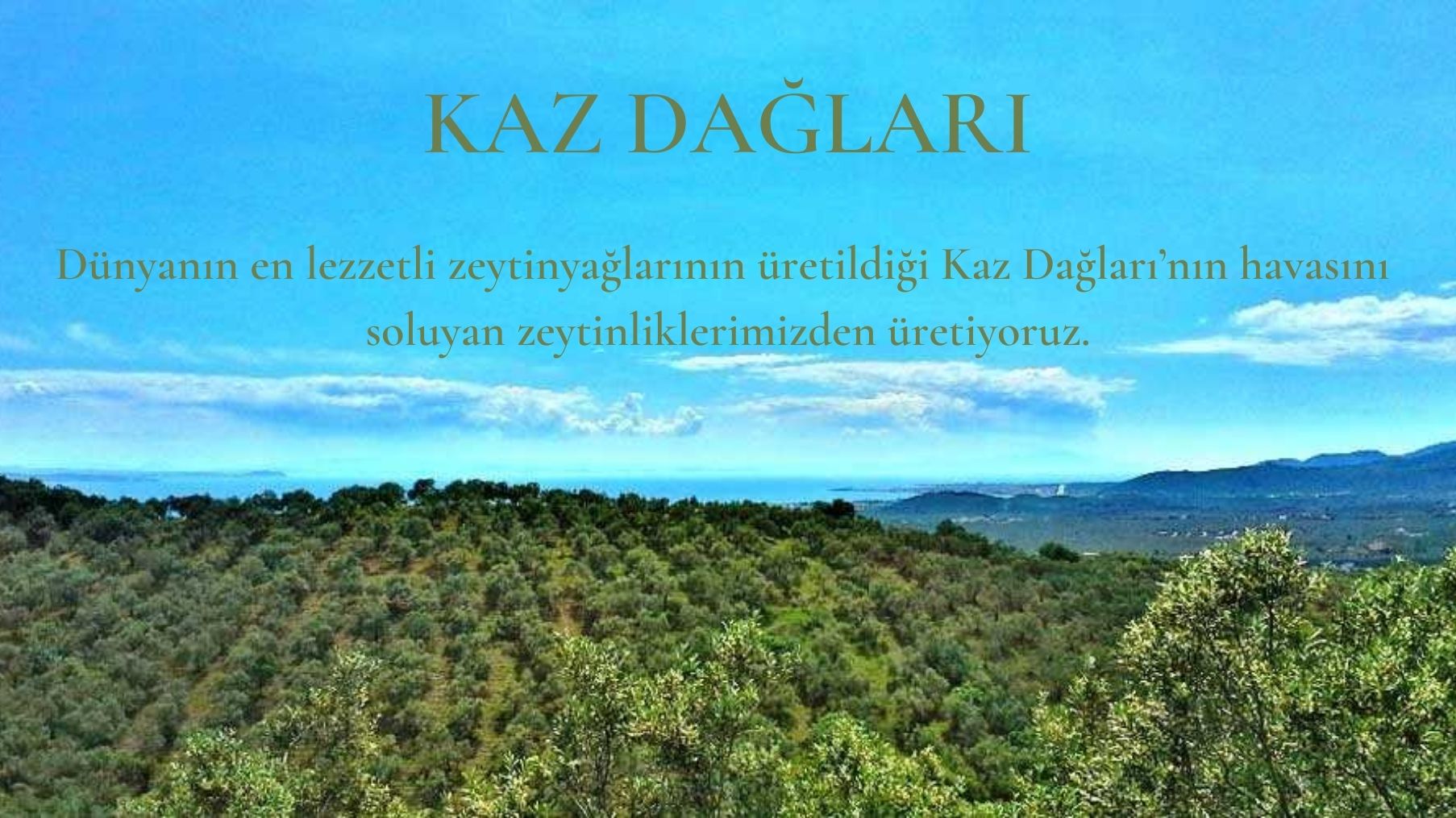 Kaz Dağları