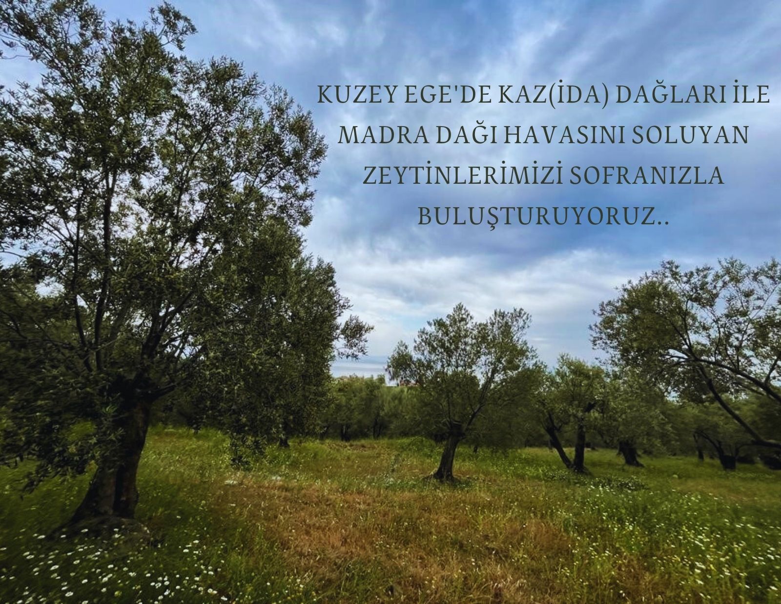 Hikayemizi Merak Ediyor Musunuz?